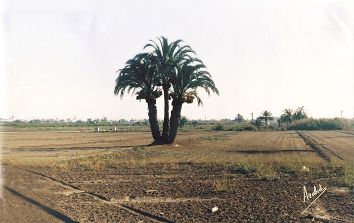 VeredadeSendres